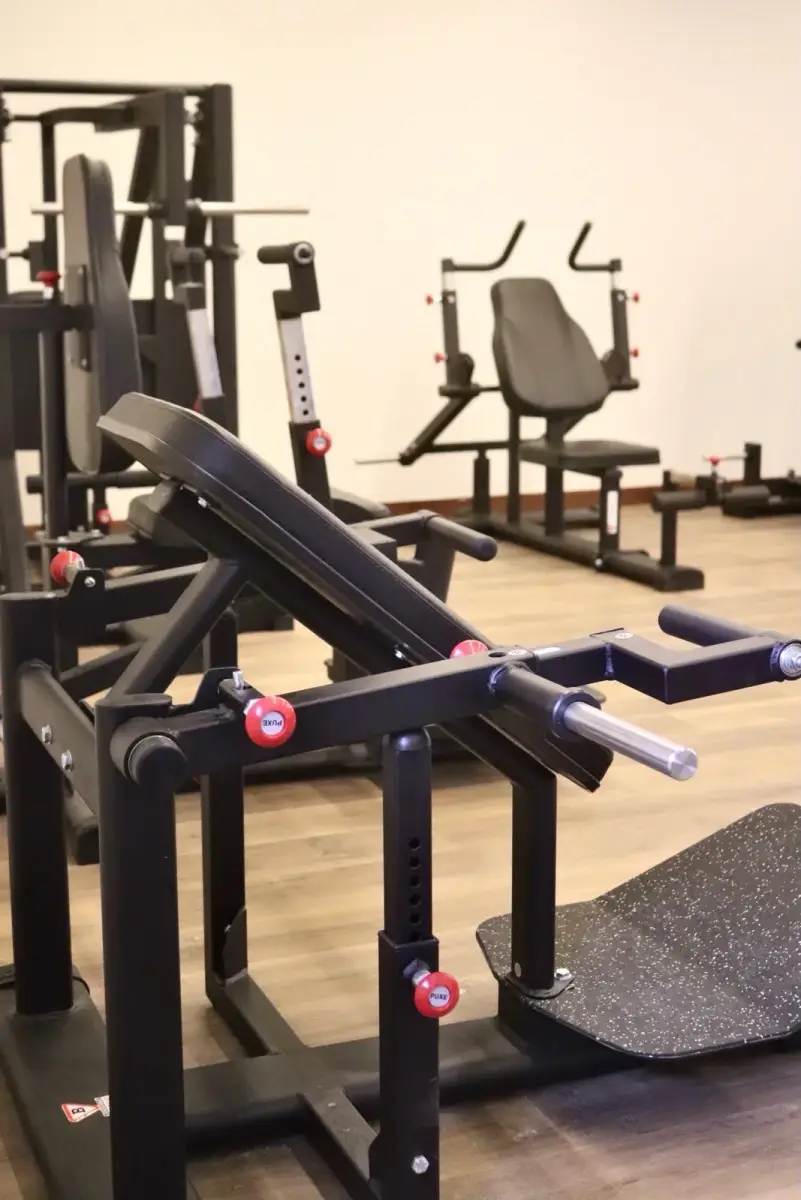 Musculação